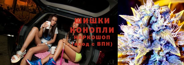 крисы Липки