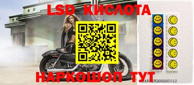 спиды Краснодар